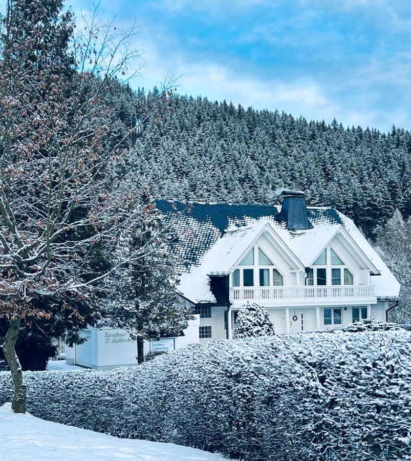 Landhaus Muehlenberg فيلنغن المظهر الخارجي الصورة